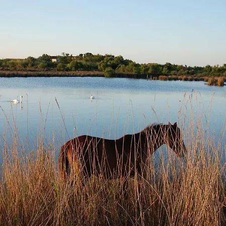L' Estelle En Camargue 5*