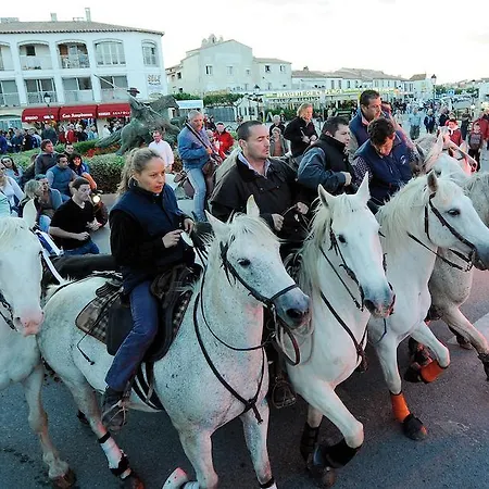 L' Estelle En Camargue 5*
